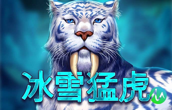 bob全站登录手机网页版